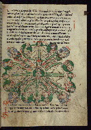 W.72, fol. 12r