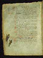 W.733, fol. 28v