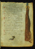 W.733, fol. 29r