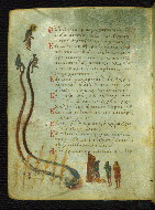 W.733, fol. 41v