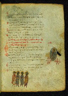 W.733, fol. 45r