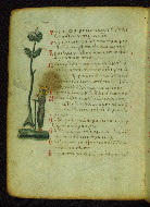 W.733, fol. 70v