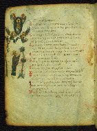 W.733, fol. 81v