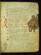 W.733, fol. 82r