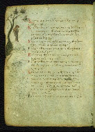 W.733, fol. 82v