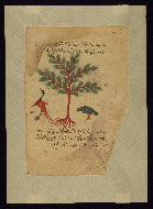 W.750, fol. W.750Da