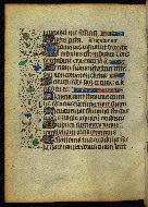 W.815, fol. 31v