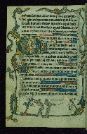 W.82, fol. 209v