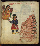 W.835, fol. 33r