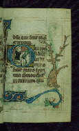 W.85, fol. 30r