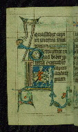 W.85, fol. 44v