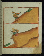 W.916, fol. 64r