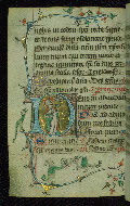 W.95, fol. 49v