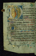 W.95, fol. 51v