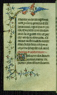 W.99, fol. 173v